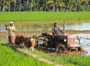 Feminisation of Agriculture — Ester Boserup, Gender, Development and the Invisible Woman Farmer for UPSC