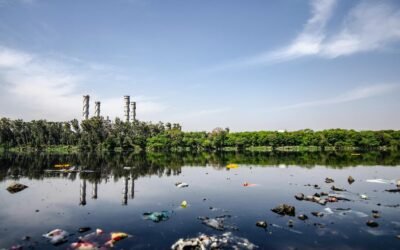 Upper Ganga Basin Uttarakhand hydropower projects Supreme Court ruling